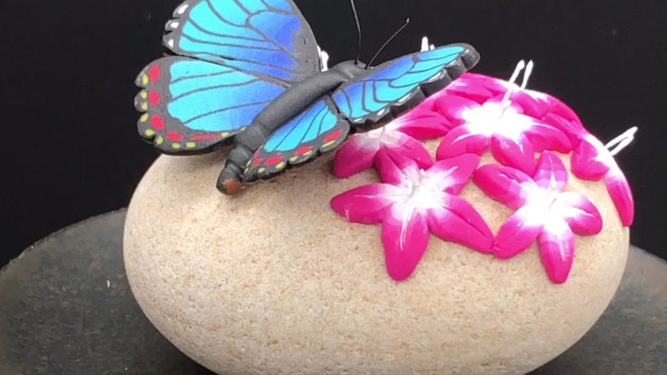 Morpho on Pink